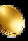 coin icon