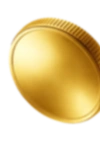 coin icon